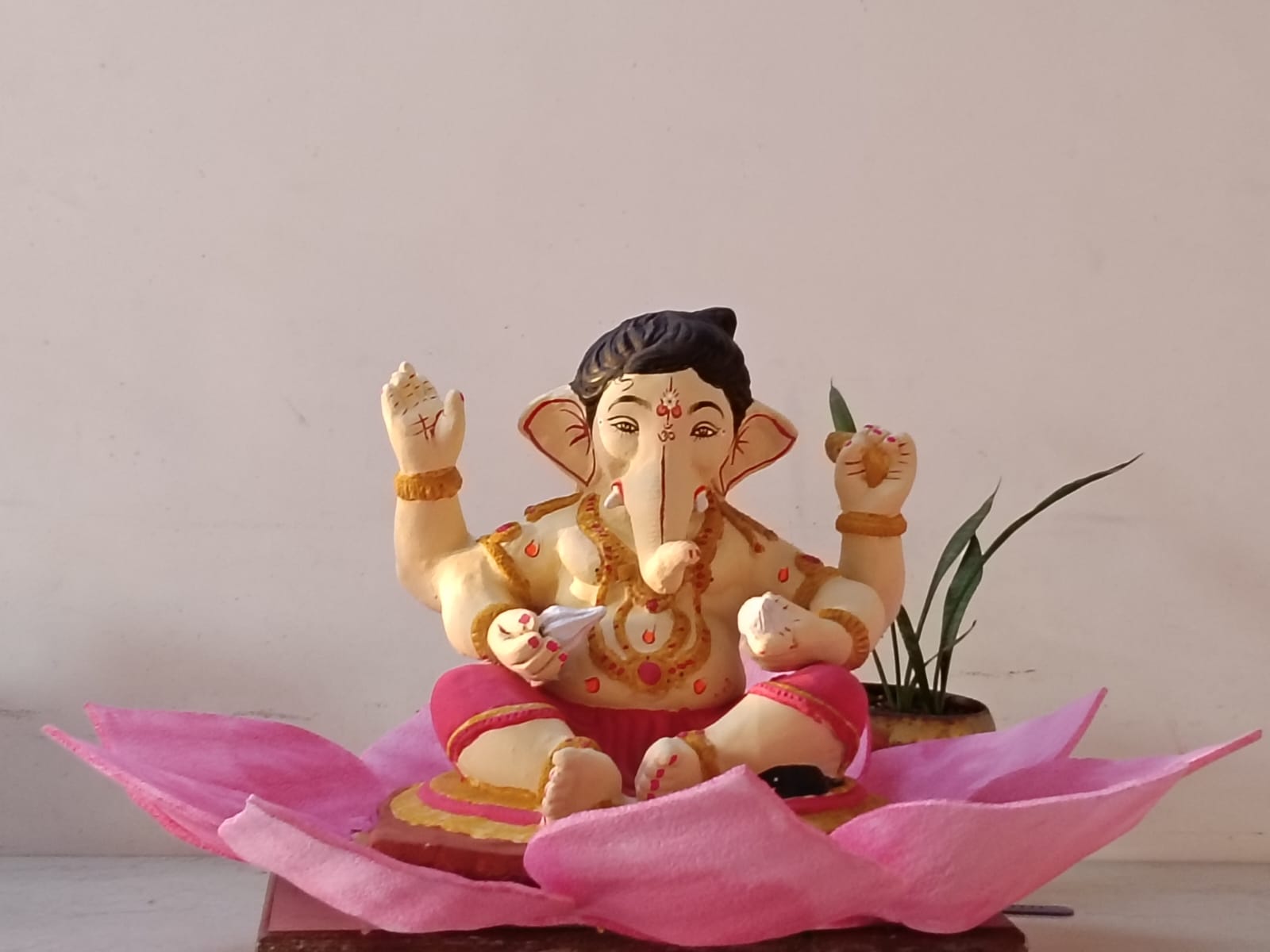 Studio photograph of the coco peat Ganesha collection